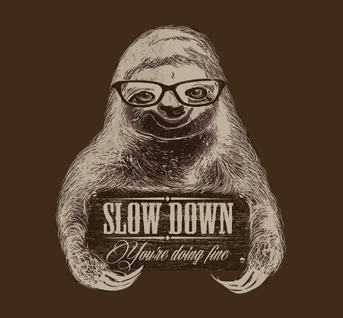 slowdownsloth.jpg