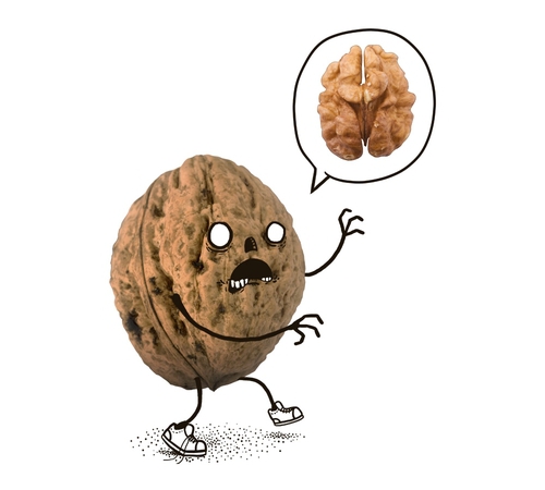 Zombie Nuts Walnut Brains T-Shirt