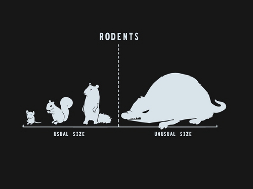 Rodents Of Unusual Size Chart T-Shirt