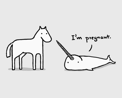 Horse Narwhal I'm Pregnant Unicorn Baby T-Shirt