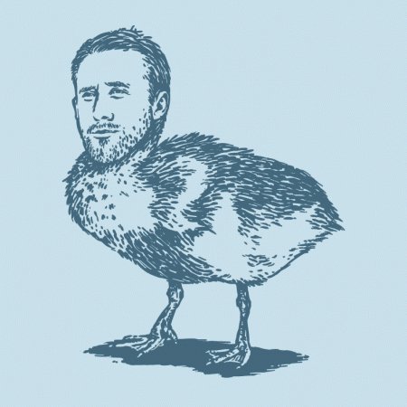 Ryan Gosling Goose Bird T-Shirt