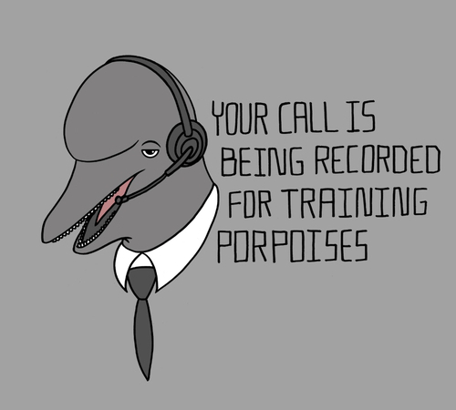 Call Recorded Training Porpoises Funny T-Shirt