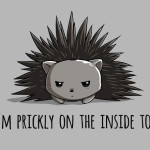 Prickly on the Inside Cute Hedgehog T-Shirt