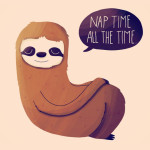 Nap Time Sloth T-Shirt