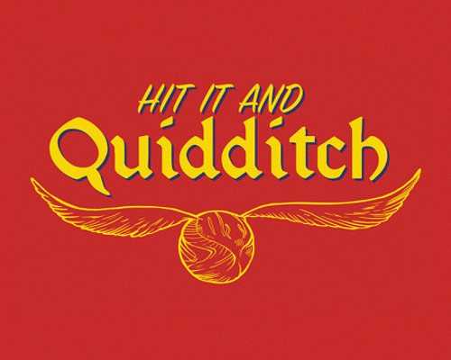 Hit It and Quidditch Harry Potter T-Shirt