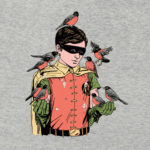 Robin Birds Batman T-Shirt
