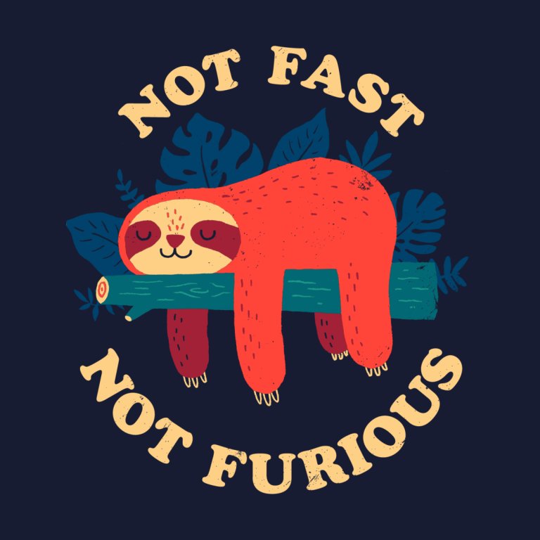 Not Fast Not Furious Sloth Shirt